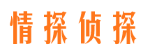 莲湖市调查取证